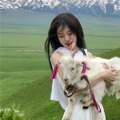 来自法国的玫瑰